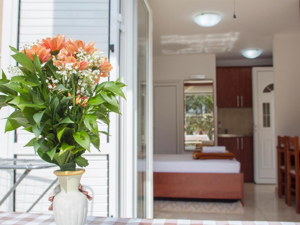 Guest House 4M Petrovac Room photo