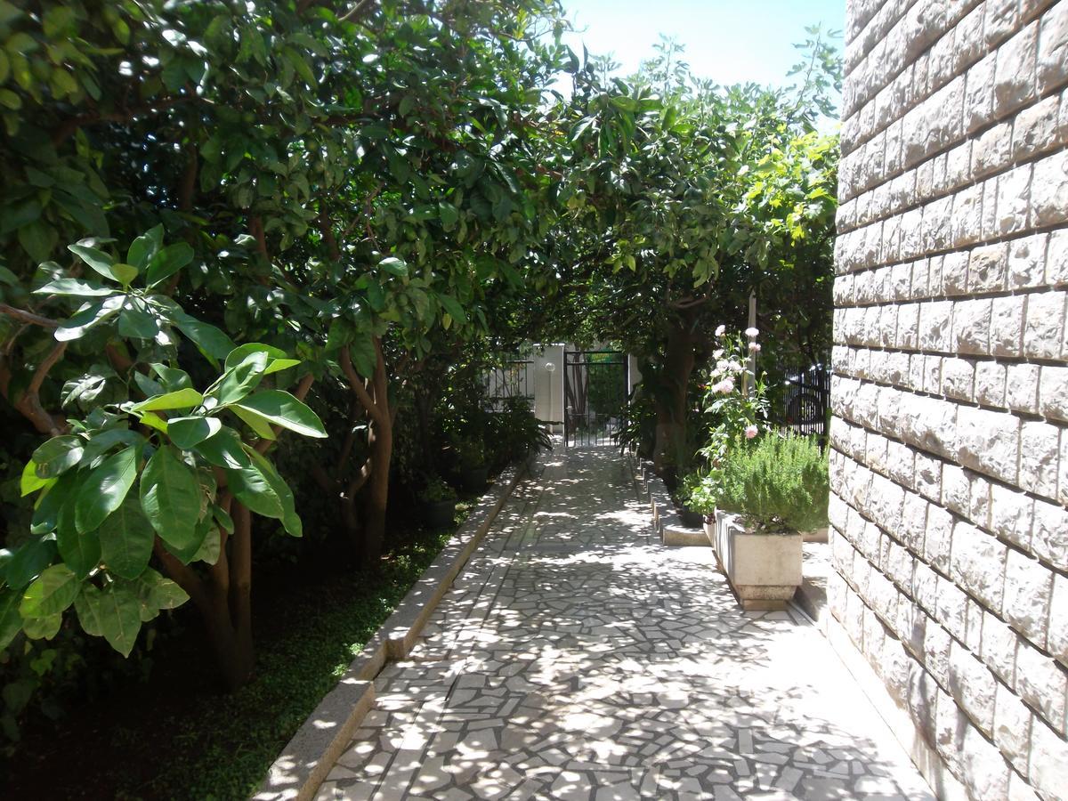 Guest House 4M Petrovac Exterior photo